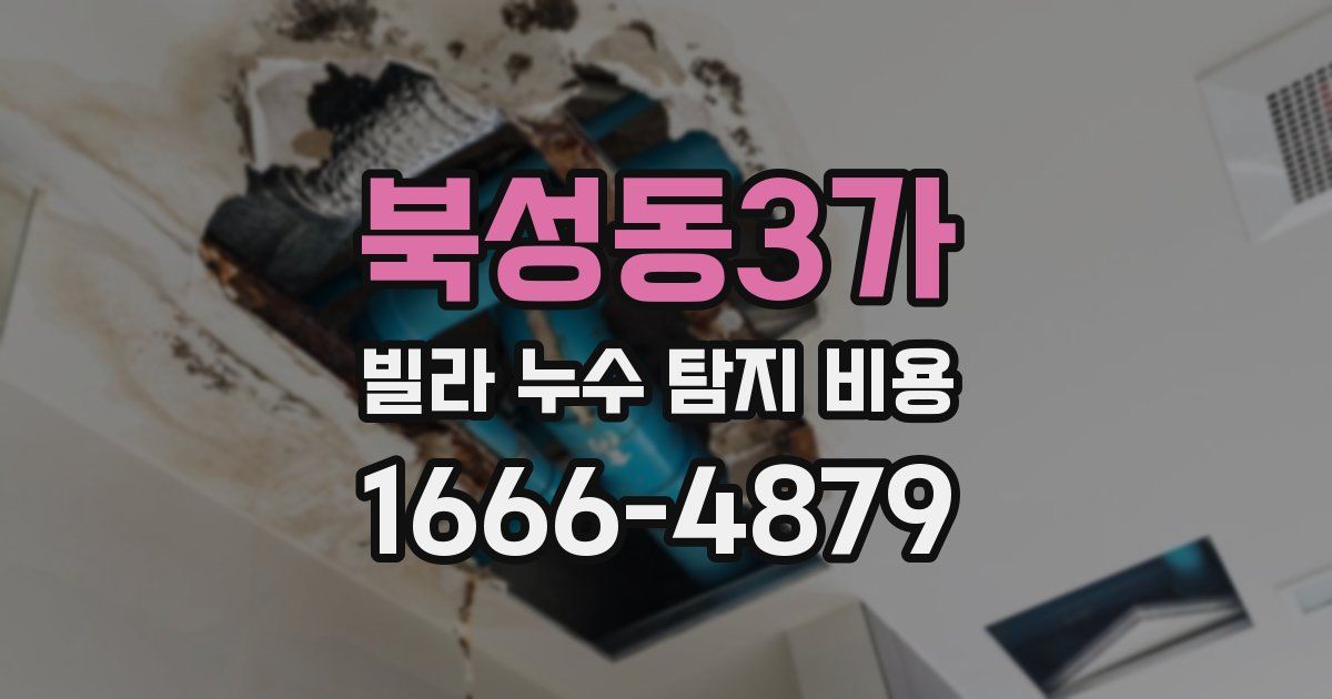 북성동3가 빌라 누수 탐지 비용