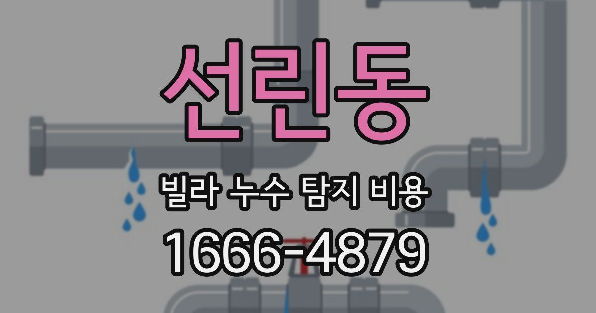 선린동 빌라 누수 탐지 비용