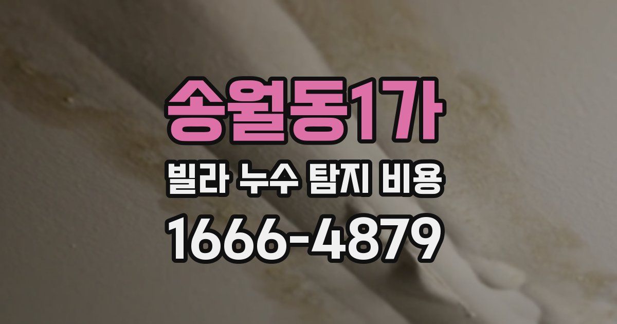 송월동1가 빌라 누수 탐지 비용