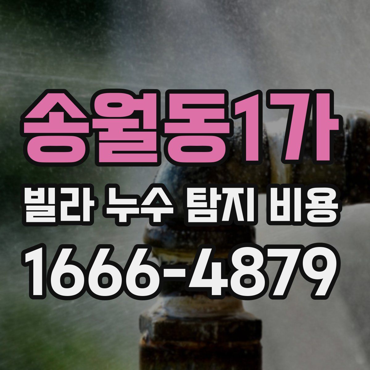 송월동1가 빌라 누수 탐지 비용