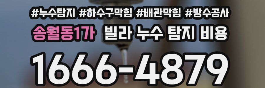 송월동1가 빌라 누수 탐지 비용