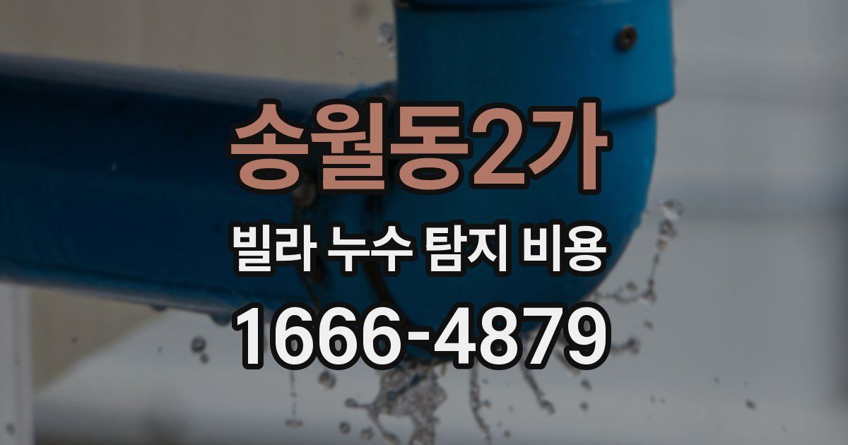 송월동2가 빌라 누수 탐지 비용