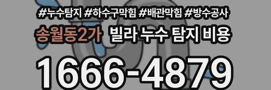 송월동2가 빌라 누수 탐지 비용