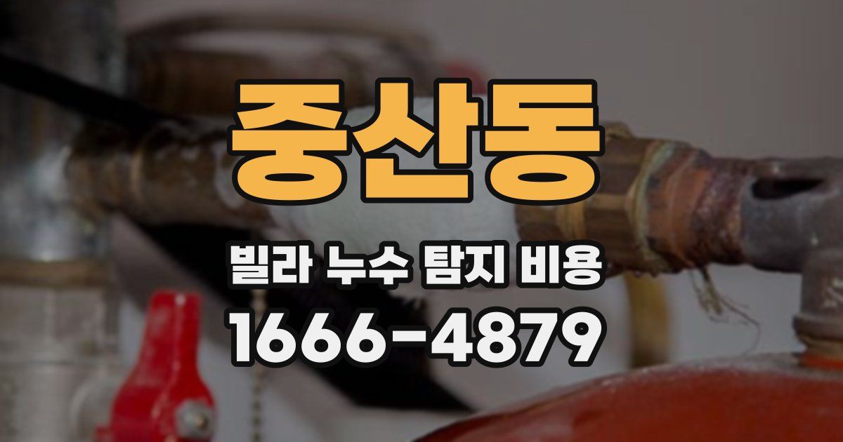 중산동 빌라 누수 탐지 비용