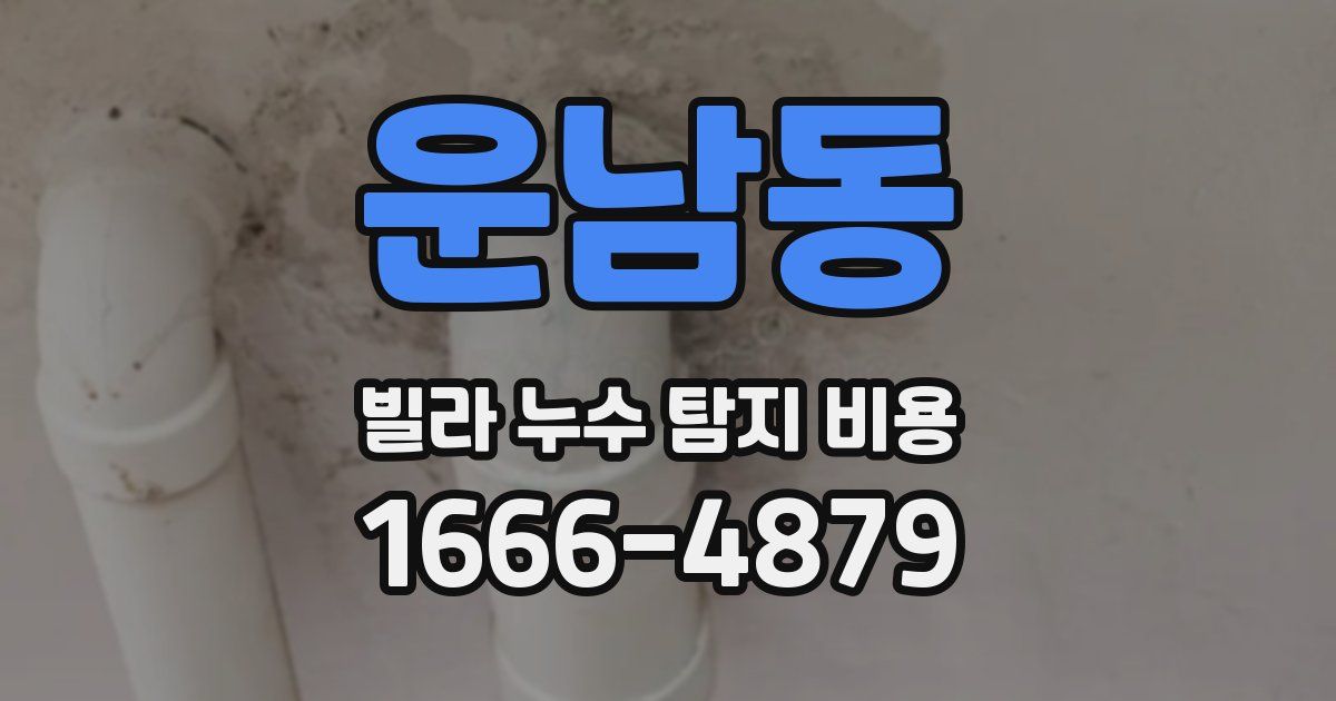운남동 빌라 누수 탐지 비용