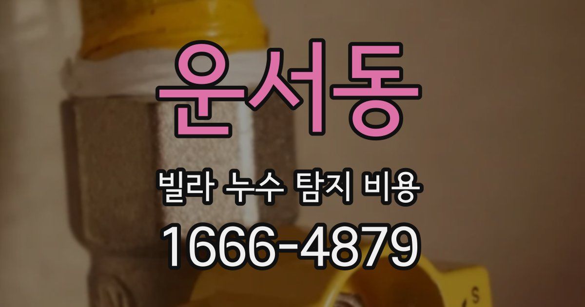 운서동 빌라 누수 탐지 비용