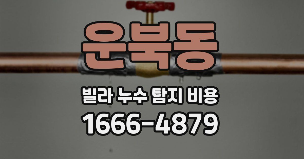 운북동 빌라 누수 탐지 비용
