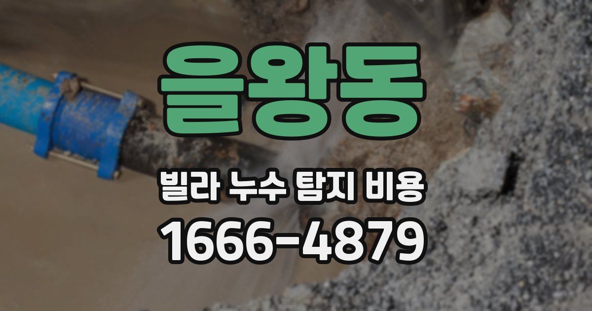 을왕동 빌라 누수 탐지 비용