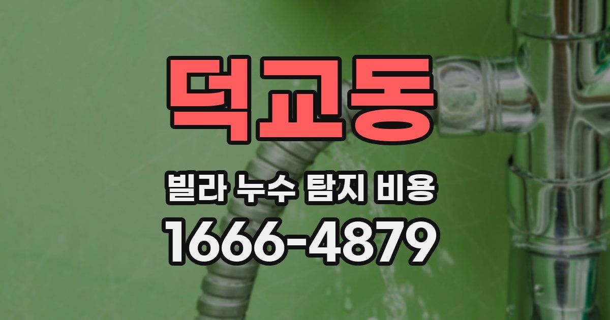덕교동 빌라 누수 탐지 비용