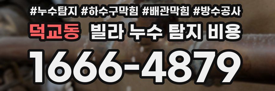 덕교동 빌라 누수 탐지 비용