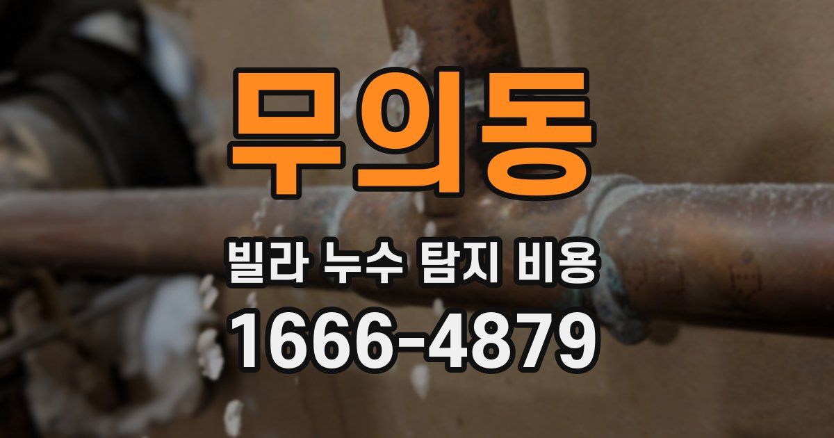 무의동 빌라 누수 탐지 비용