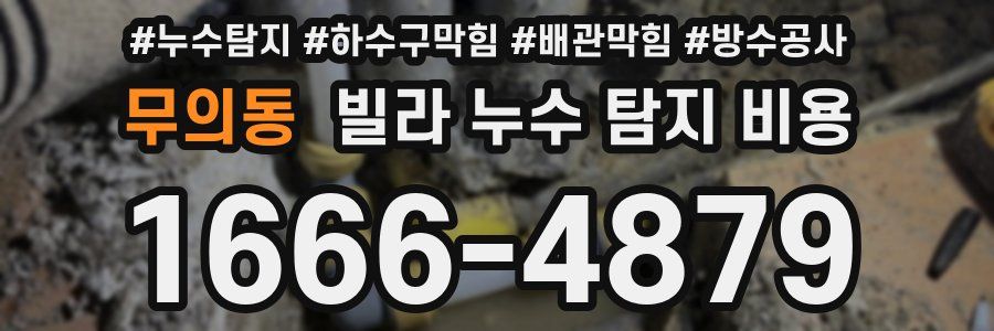 무의동 빌라 누수 탐지 비용