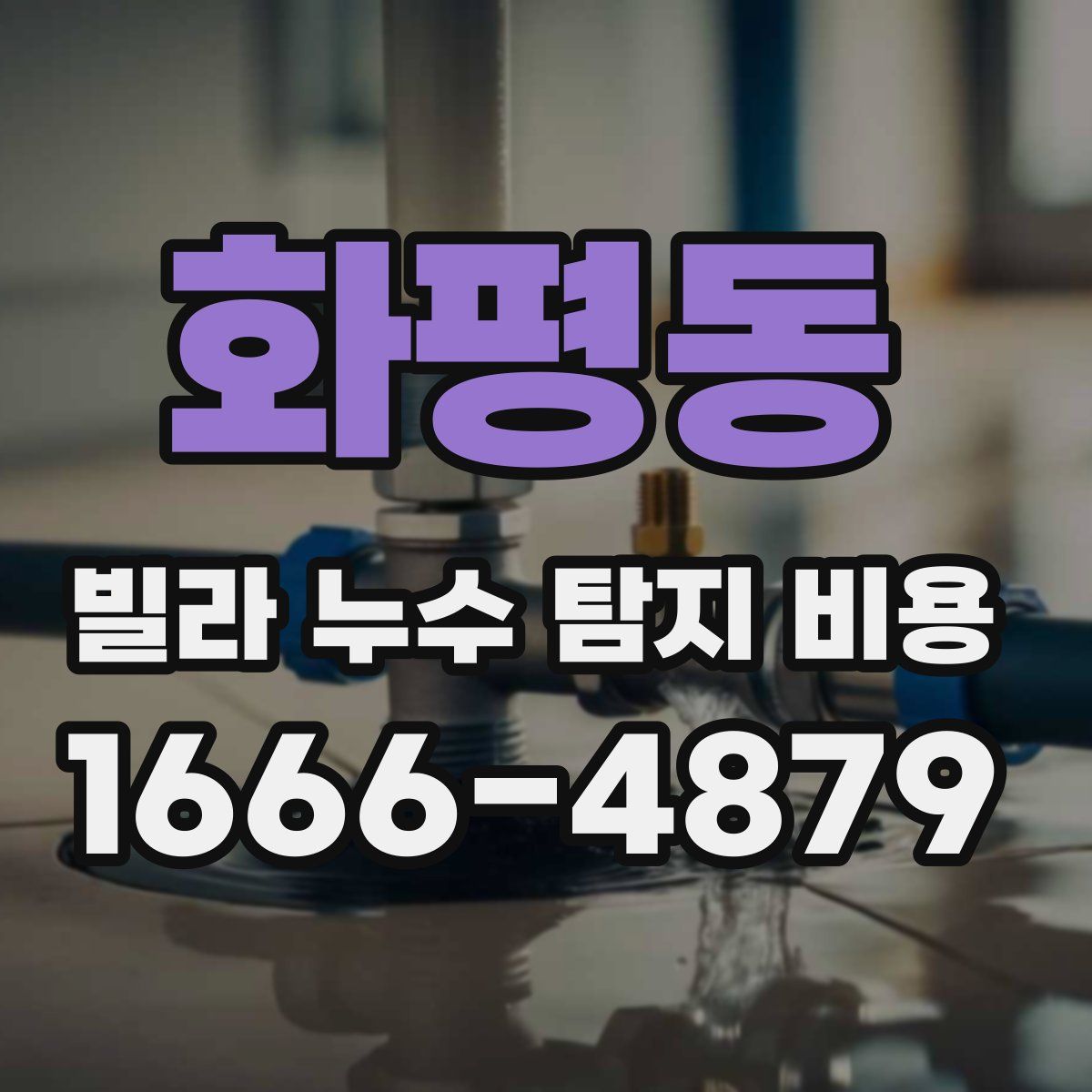 화평동 빌라 누수 탐지 비용