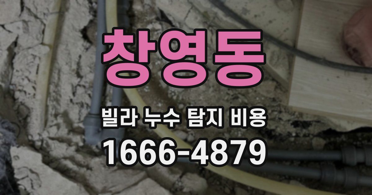 창영동 빌라 누수 탐지 비용