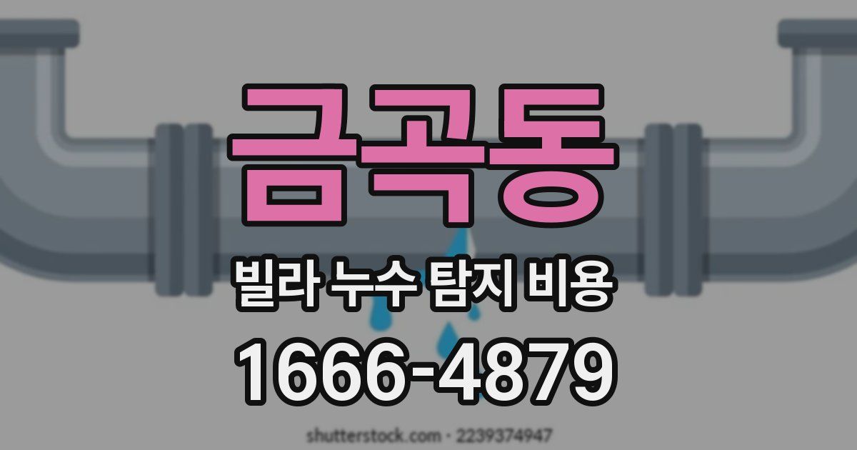 금곡동 빌라 누수 탐지 비용