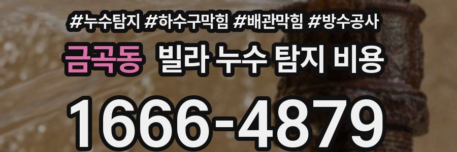 금곡동 빌라 누수 탐지 비용