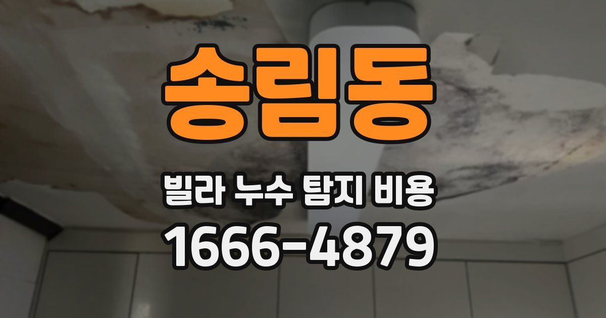 송림동 빌라 누수 탐지 비용
