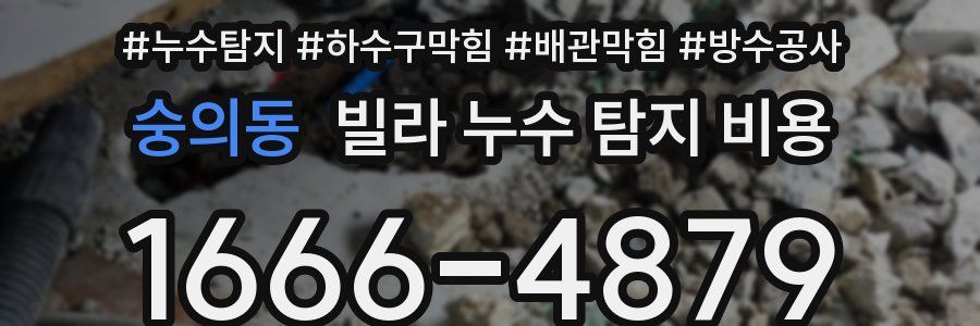 숭의동 빌라 누수 탐지 비용