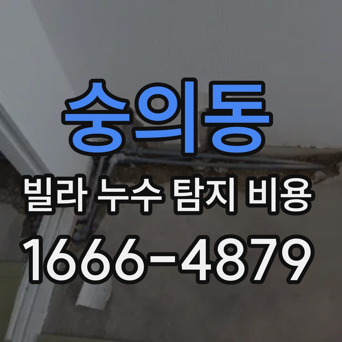 숭의동 빌라 누수 탐지 비용