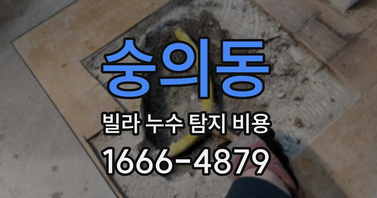 숭의동 빌라 누수 탐지 비용
