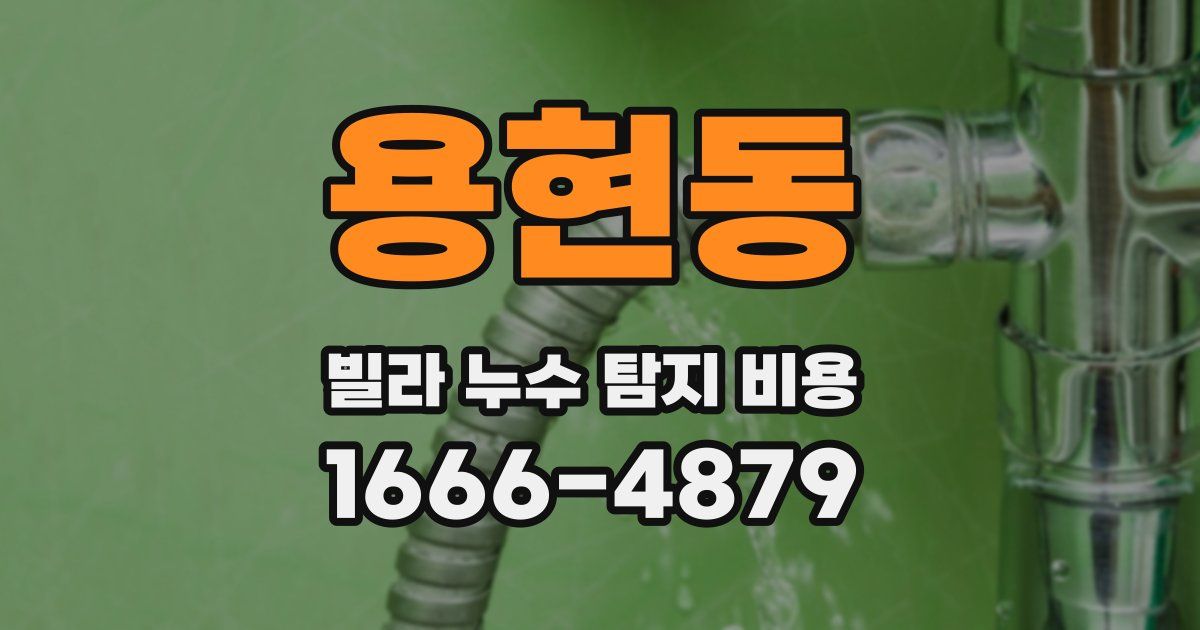 용현동 빌라 누수 탐지 비용