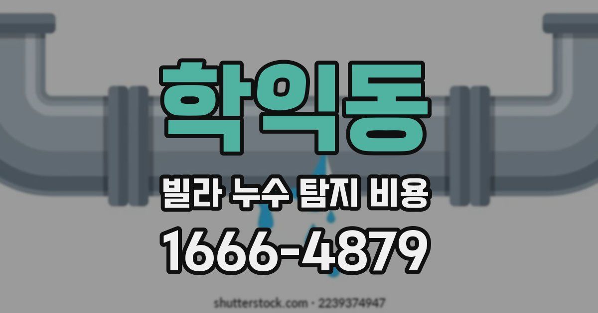학익동 빌라 누수 탐지 비용