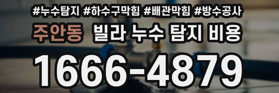 주안동 빌라 누수 탐지 비용