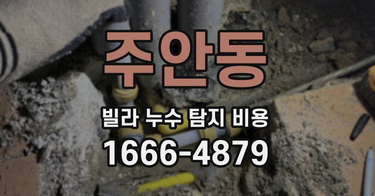 주안동 빌라 누수 탐지 비용