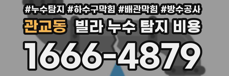 관교동 빌라 누수 탐지 비용