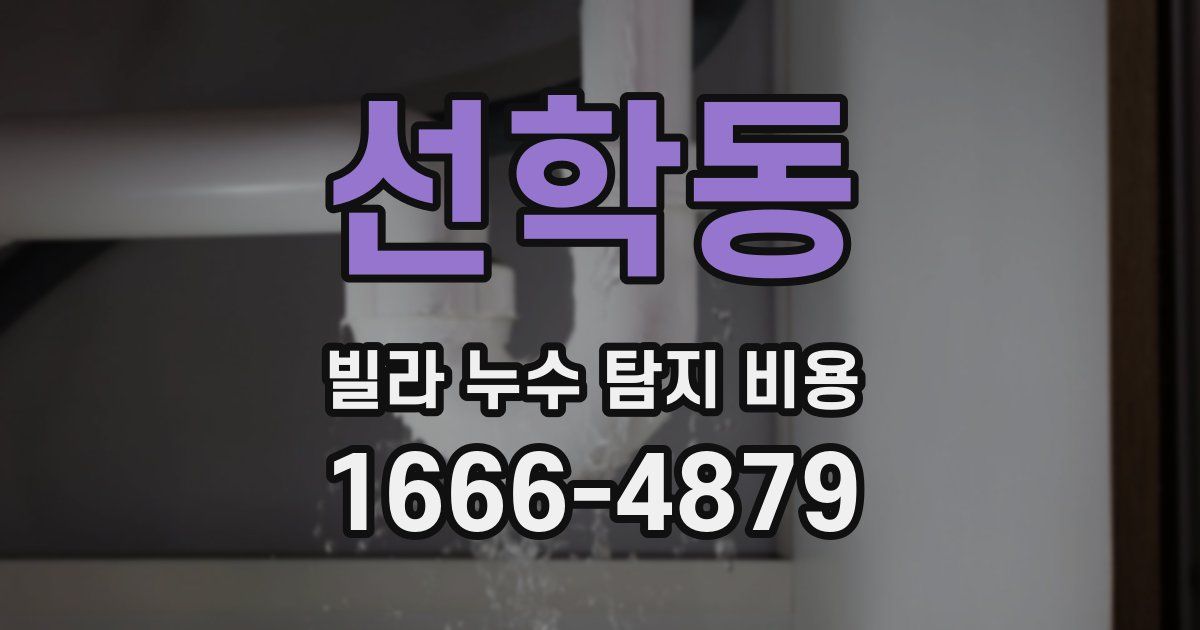 선학동 빌라 누수 탐지 비용
