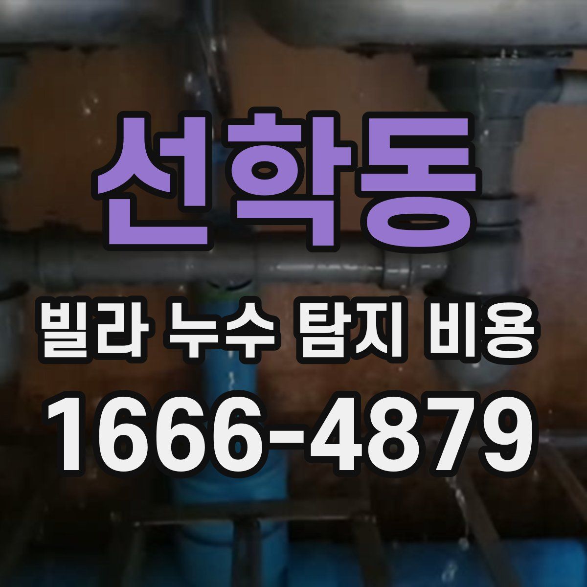 선학동 빌라 누수 탐지 비용