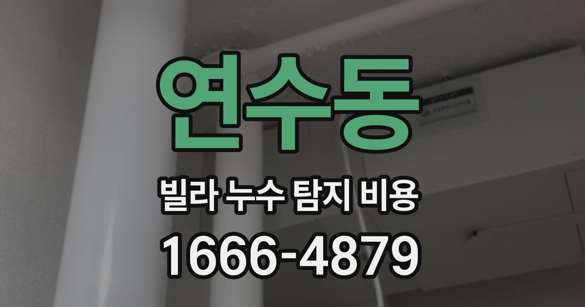 연수동 빌라 누수 탐지 비용