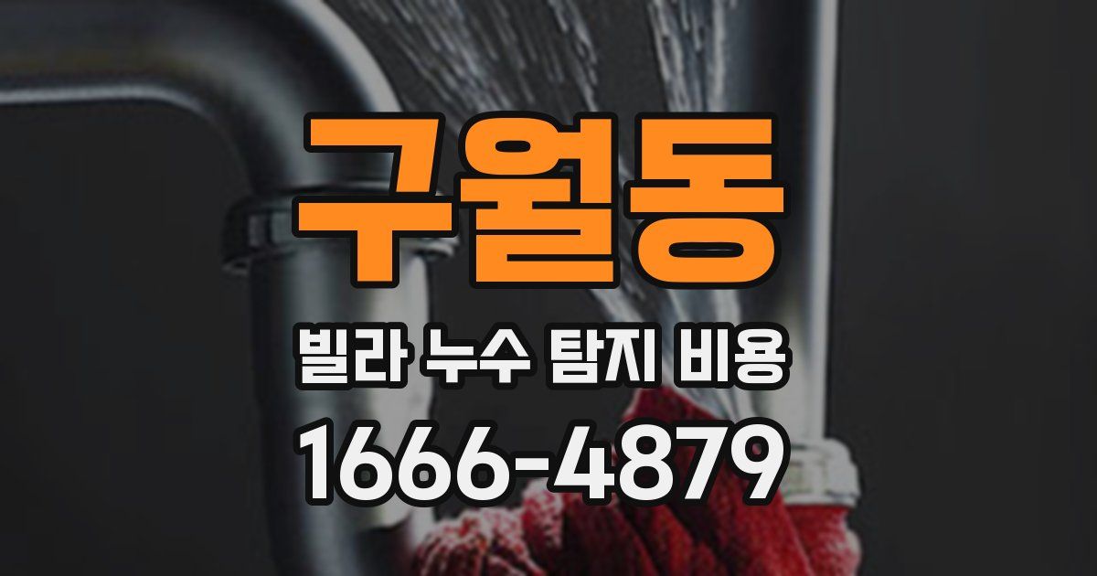 구월동 빌라 누수 탐지 비용