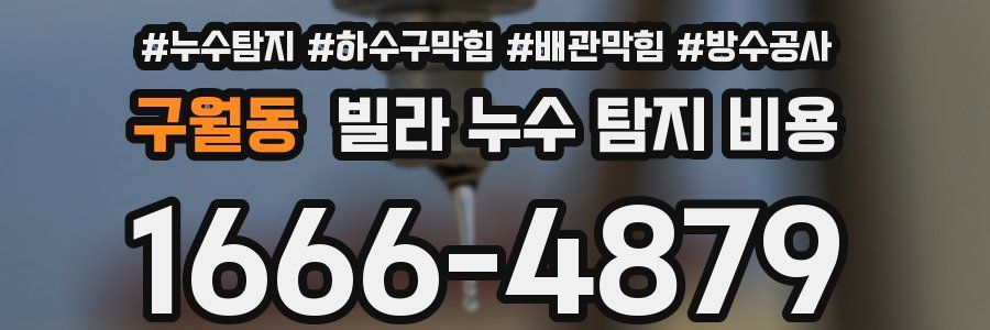 구월동 빌라 누수 탐지 비용