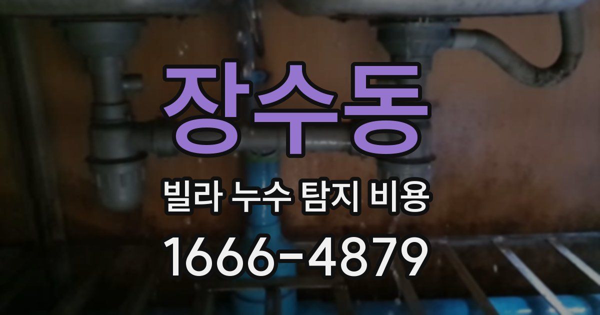 장수동 빌라 누수 탐지 비용