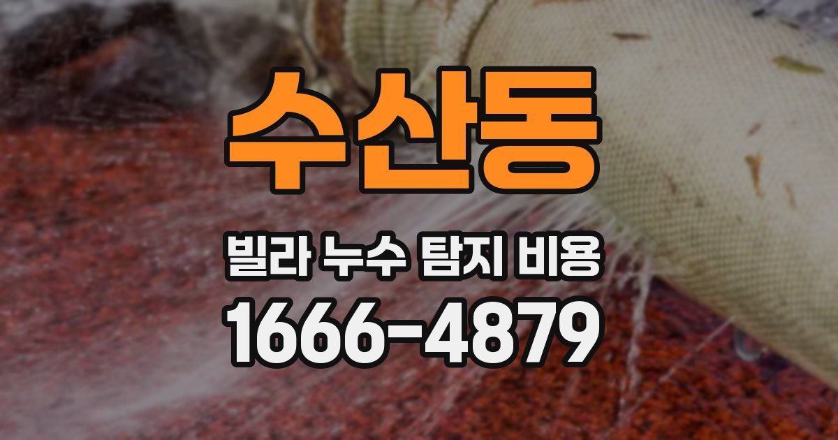 수산동 빌라 누수 탐지 비용