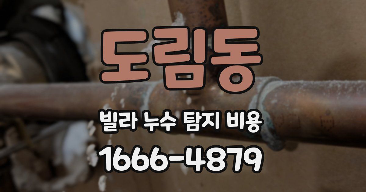 도림동 빌라 누수 탐지 비용
