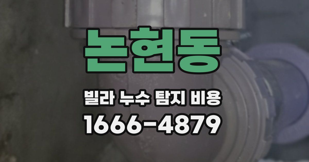 논현동 빌라 누수 탐지 비용