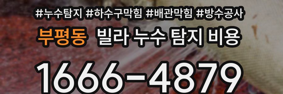 부평동 빌라 누수 탐지 비용