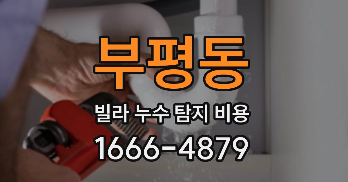 부평동 빌라 누수 탐지 비용