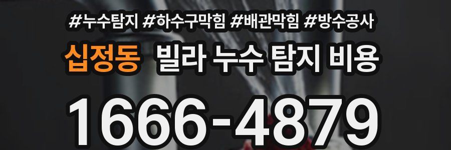십정동 빌라 누수 탐지 비용