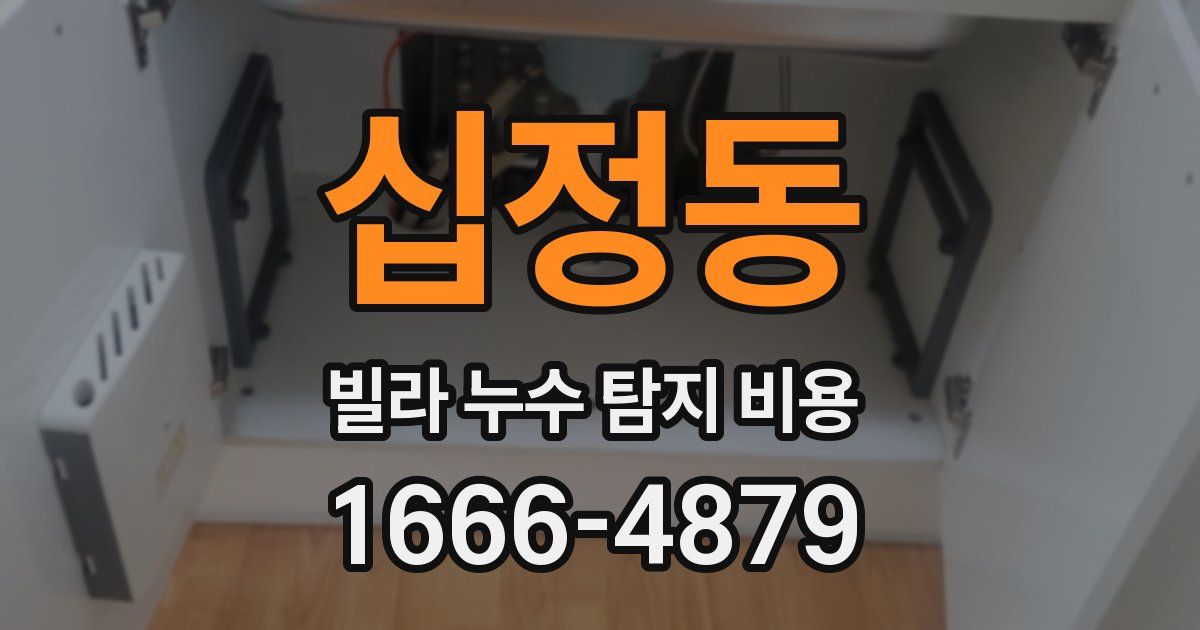 십정동 빌라 누수 탐지 비용
