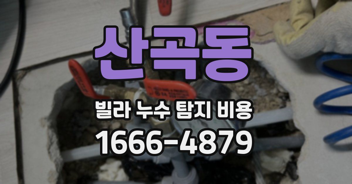 산곡동 빌라 누수 탐지 비용