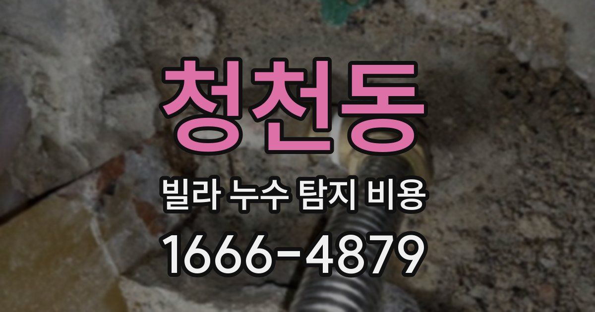 청천동 빌라 누수 탐지 비용
