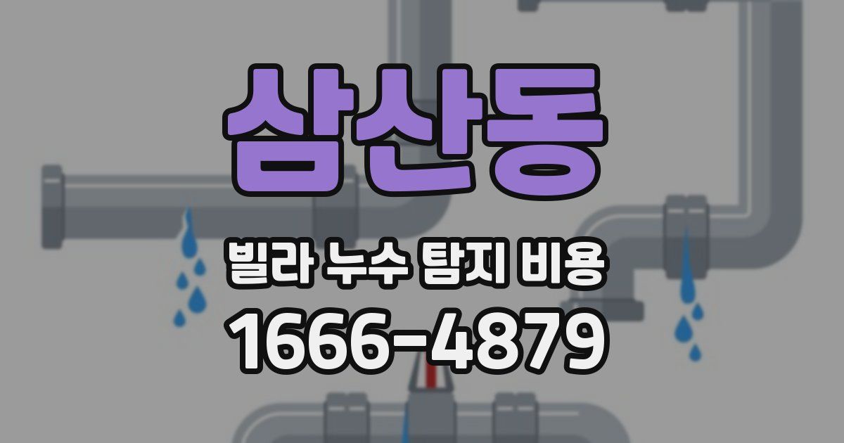 삼산동 빌라 누수 탐지 비용
