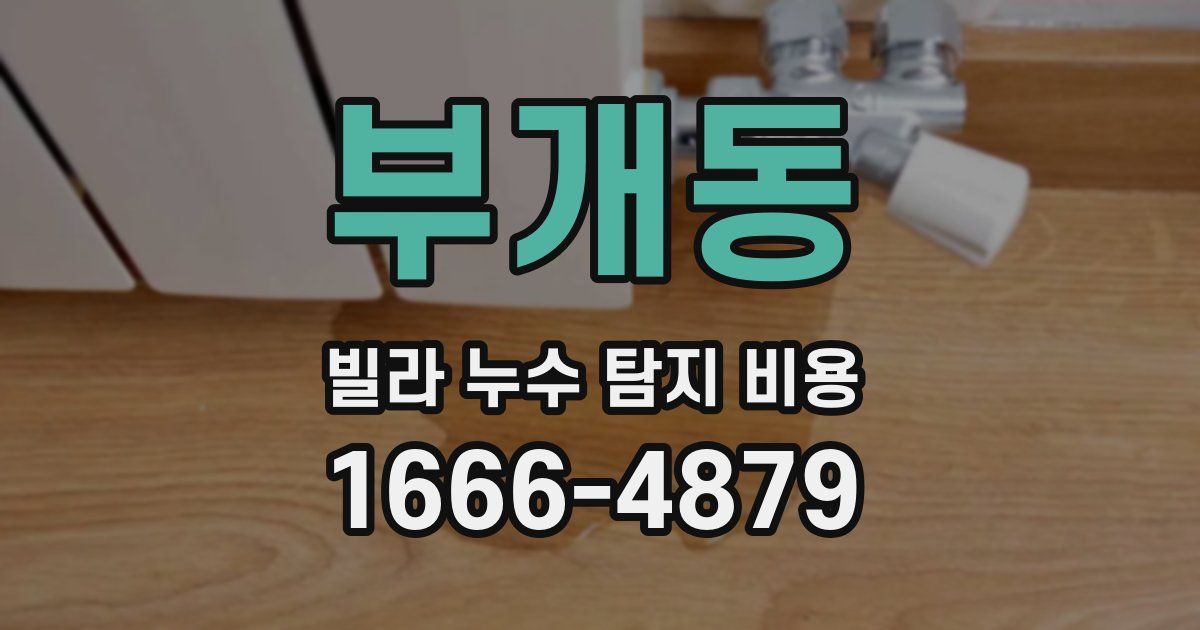 부개동 빌라 누수 탐지 비용