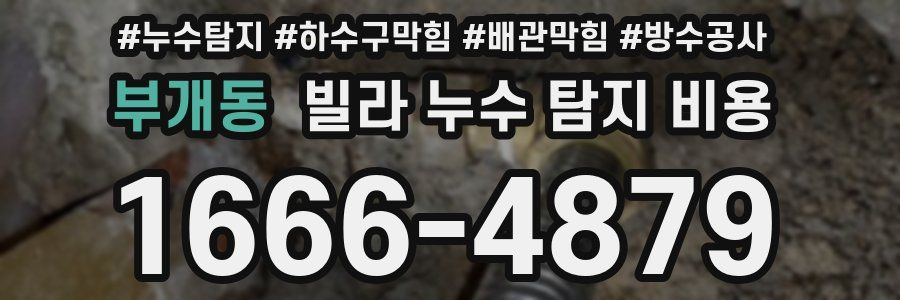 부개동 빌라 누수 탐지 비용