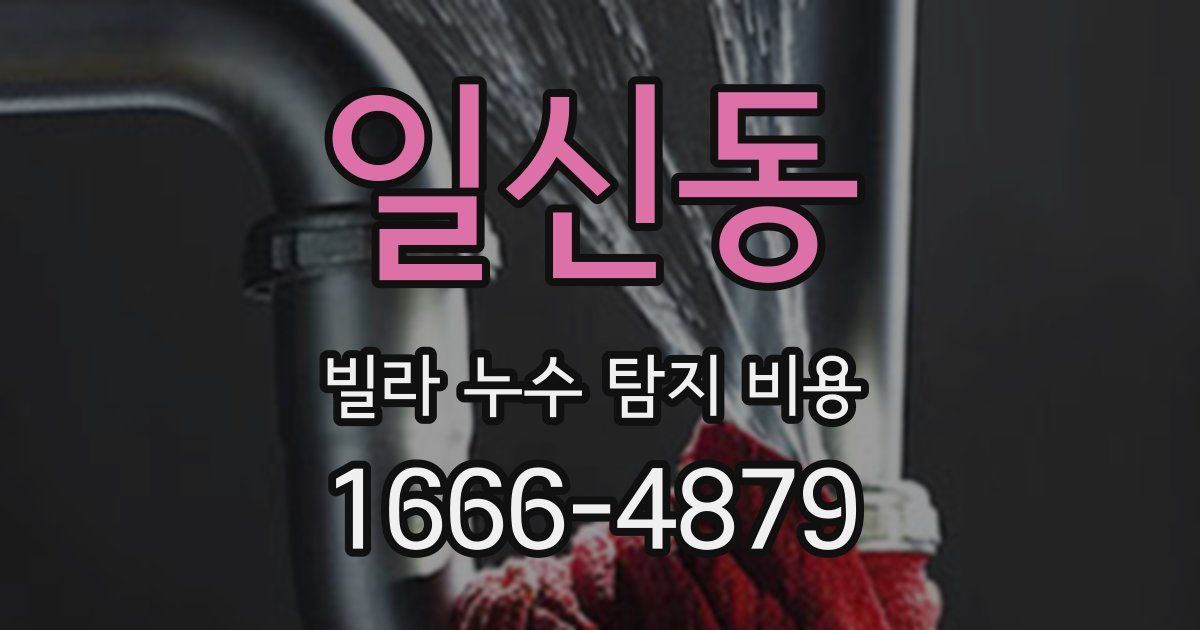 일신동 빌라 누수 탐지 비용