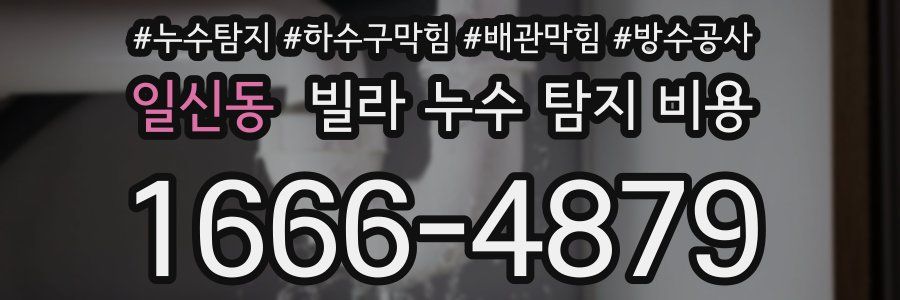 일신동 빌라 누수 탐지 비용