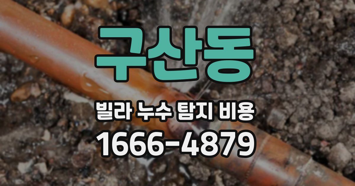 구산동 빌라 누수 탐지 비용